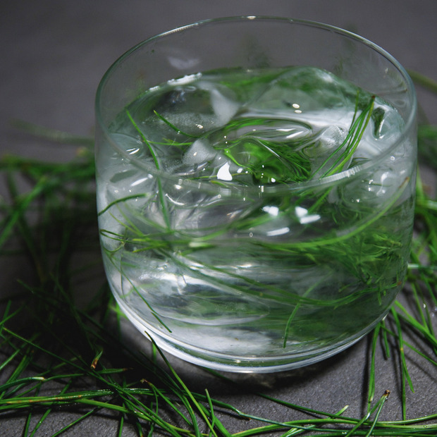 TRADMAN&rsquo;S BONSAI -松葉ジン- 詳細画像